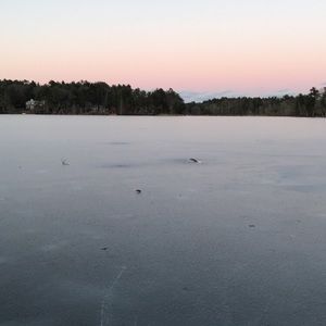 Meet your Posher, Sean